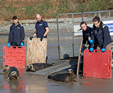 Seal Release - 4th March 2026