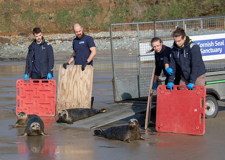 Seal Release - 4th March 2026