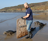 Seal Release - 4th March 2026
