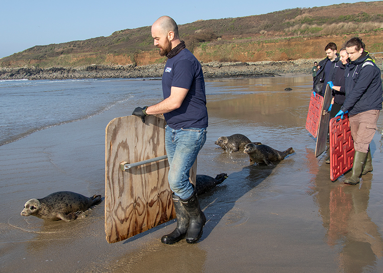 Seal Release - 4th March 2026