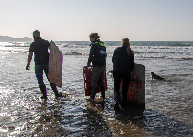 Seal Release - 4th March 2026