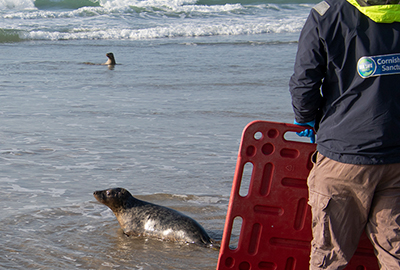 Seal Release - 4th March 2026