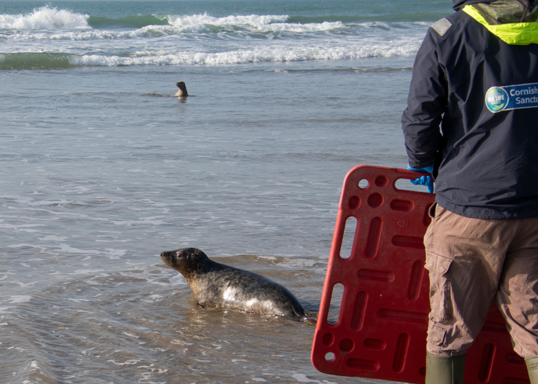 Seal Release - 4th March 2026