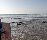 Seal Release - 4th March 2026
