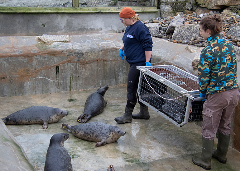 Seal Release - 4th March 2026