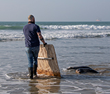 Seal Release - 4th March 2026