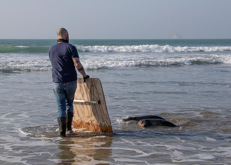 Seal Release - 4th March 2026