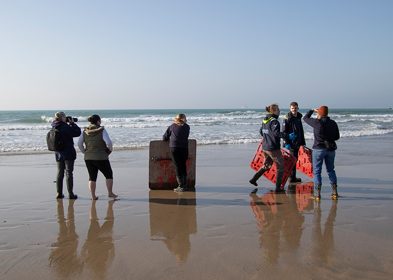 Seal Release - 4th March 2026