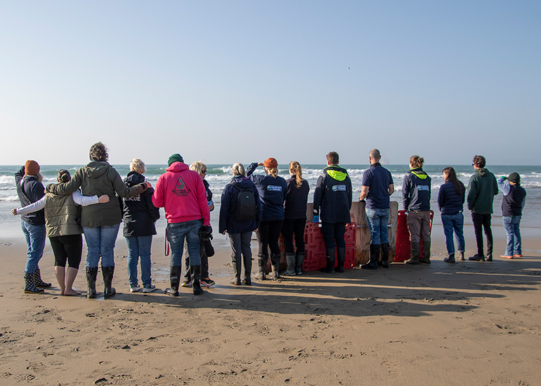 Seal Release - 4th March 2026