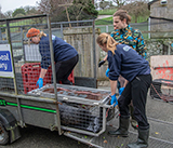 Seal Release - 4th March 2026