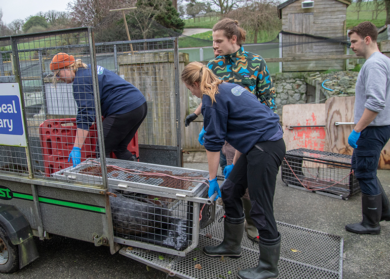 Seal Release - 4th March 2026