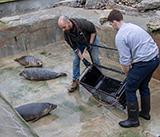 Seal Release - 4th March 2026