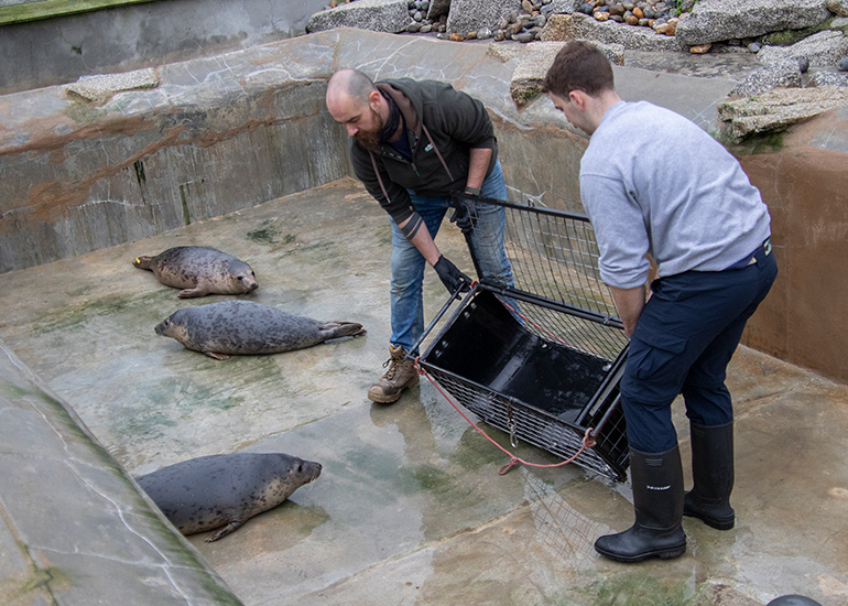 Seal Release - 4th March 2026