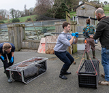 Seal Release - 4th March 2026