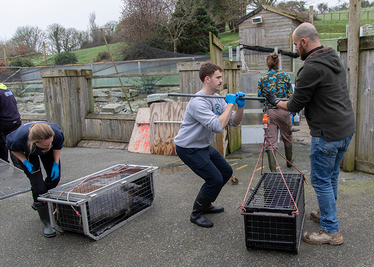 Seal Release - 4th March 2026