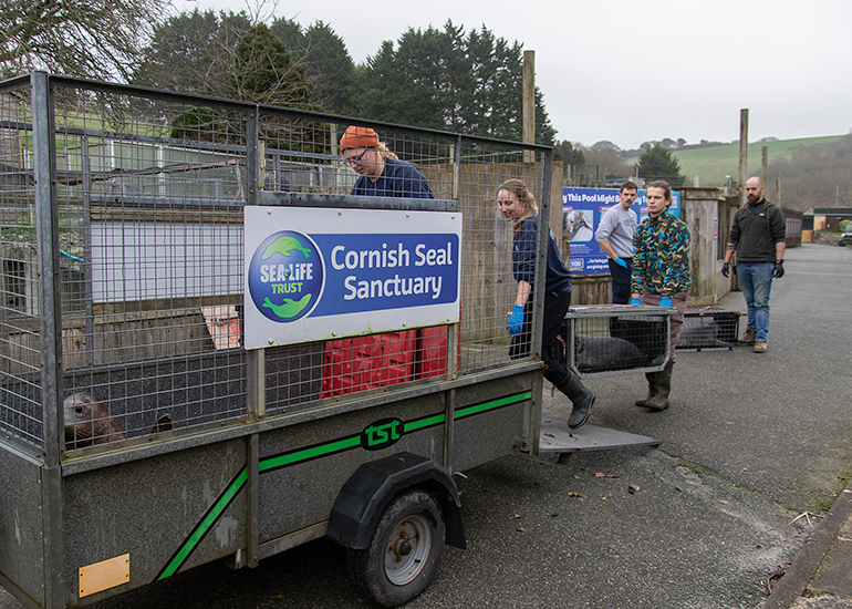 Seal Release - 4th March 2026