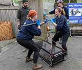 Seal Release - 5th  March 2026