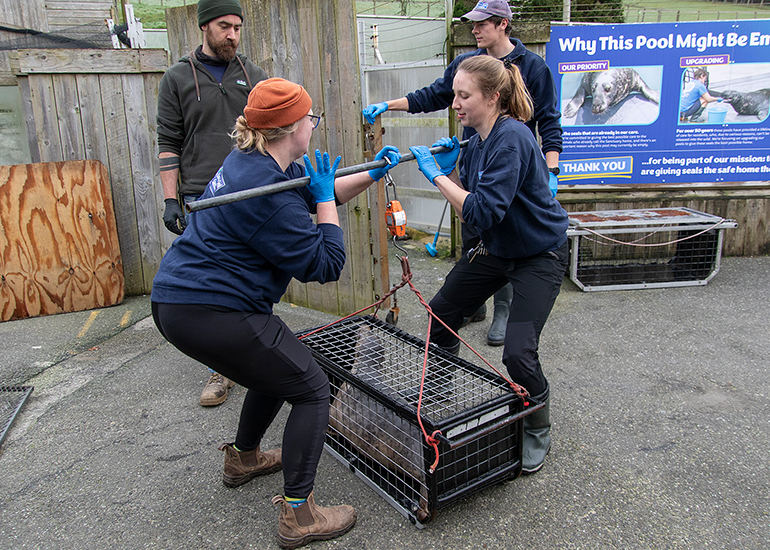 Seal Release - 5th March 2026
