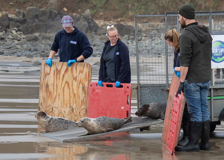 Seal Release - 5th March 2026