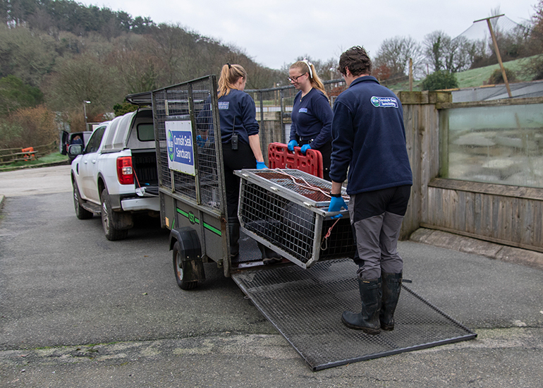 Seal Release - 5th March 2026
