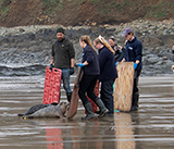 Seal Release - 5th  March 2026