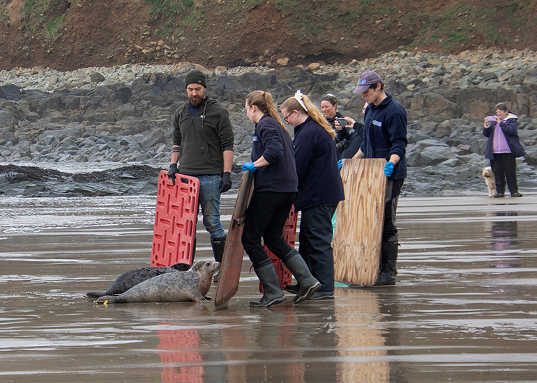 Seal Release - 5th March 2026