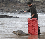 Seal Release - 5th  March 2026