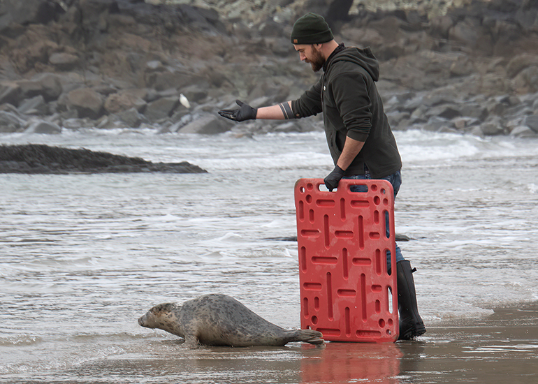 Seal Release - 5th March 2026