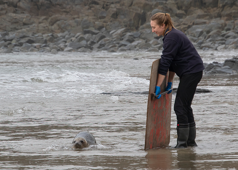 Seal Release - 5th March 2026