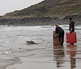 Seal Release - 5th  March 2026