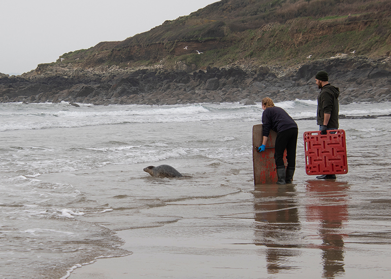 Seal Release - 5th March 2026