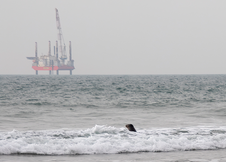 Seal Release - 5th March 2026