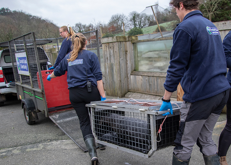Seal Release - 5th March 2026