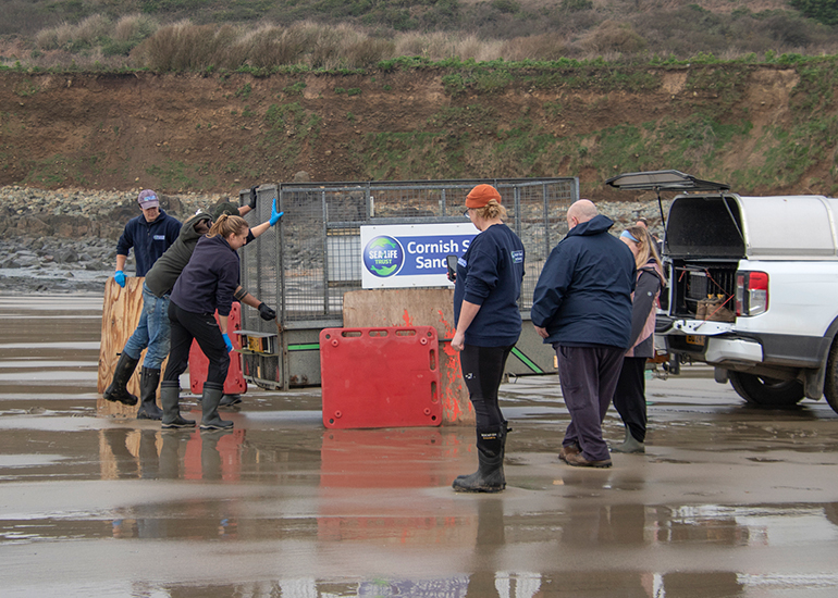 Seal Release - 5th March 2026