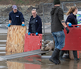 Seal Release - 5th  March 2026