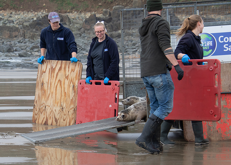 Seal Release - 5th March 2026