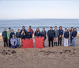 Seal Release - 6th August  2025