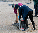 Seal Release - 6th August  2025