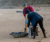 Seal Release - 6th August  2025