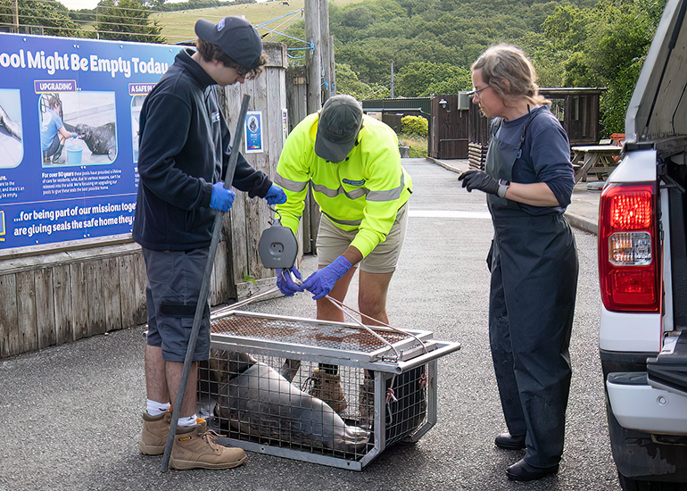Seal Release - 10th June 2026
