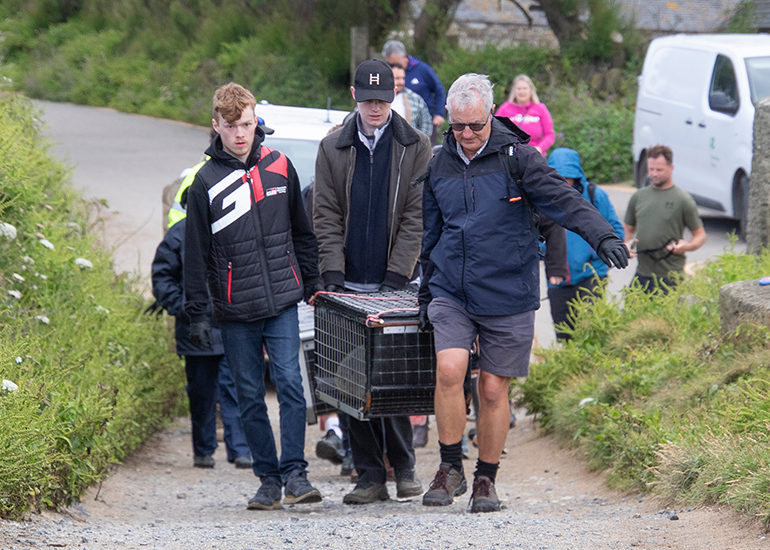 Seal Release - 10th June 2026