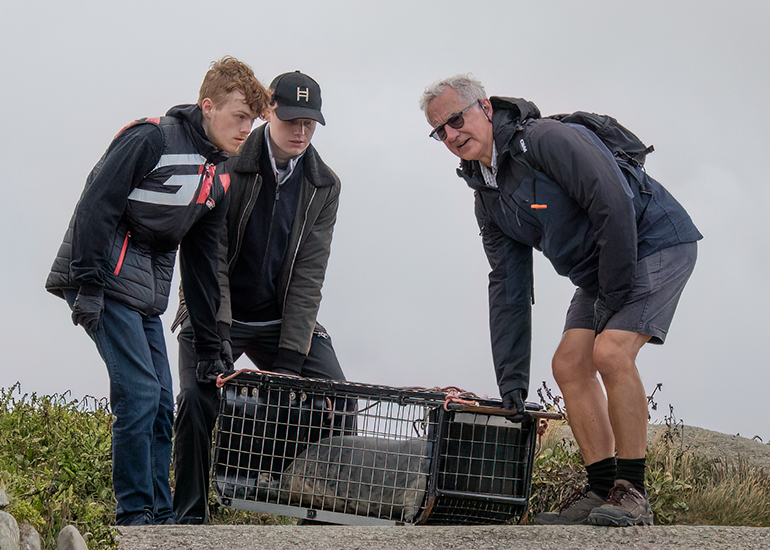 Seal Release - 10th June 2026