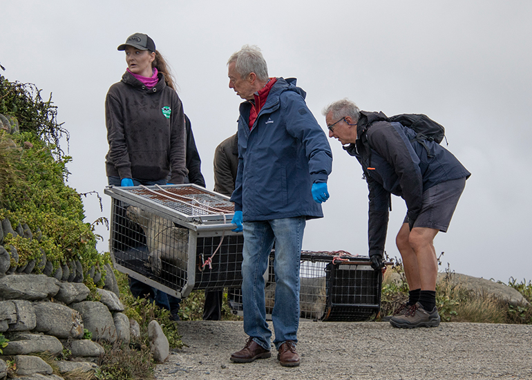 Seal Release - 10th June 2026