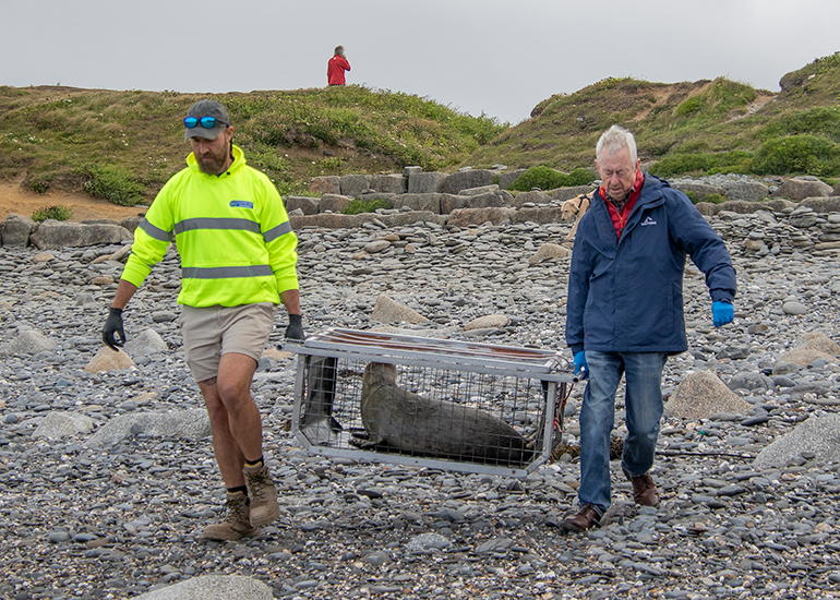 Seal Release - 10th June 2026