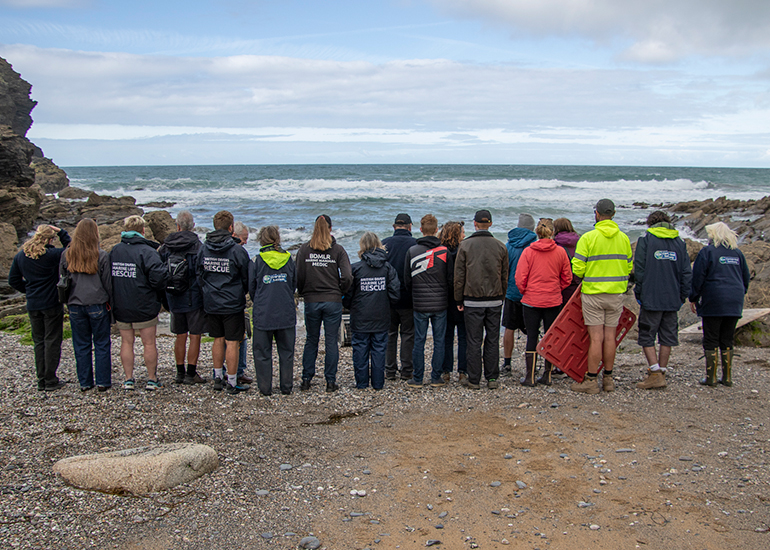 Seal Release - 10th June 2026