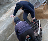 Seal Release - 11th February 2025