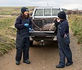 Seal Release - 11th February 2025
