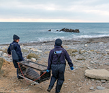 Seal Release - 11th February 2025