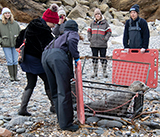 Seal Release - 11th February 2025