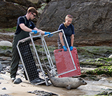 Seal Release - 11th May 2026
